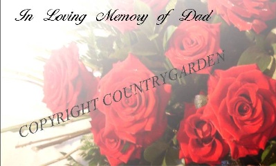 In loving memory of Dad DAD6